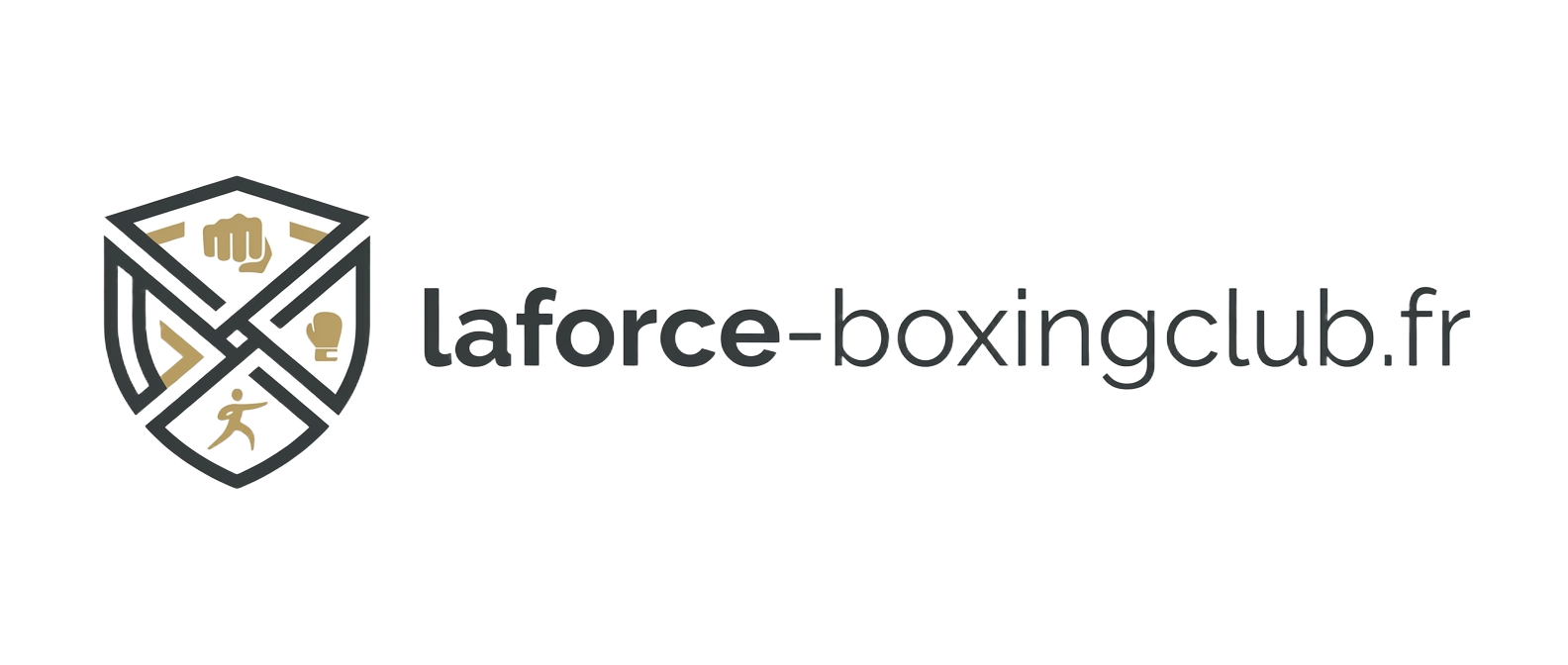 laforce-boxingclub.fr